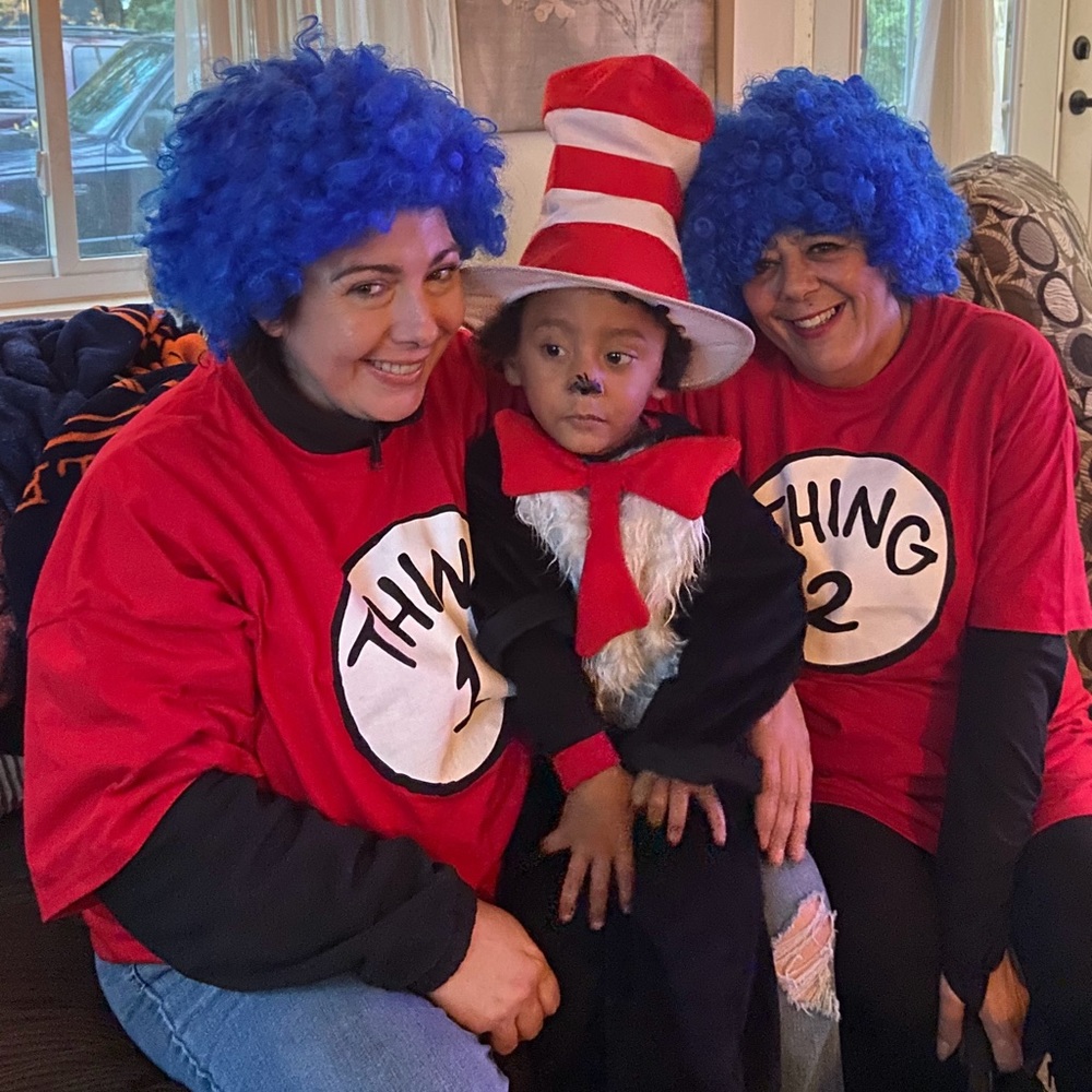 Cat & the Hat family costume: Cat&H suit 4t. Adult Thing 1 & 2 tshirts and wigs.